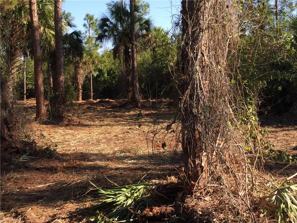 GOLDEN GATE ESTATES - Land