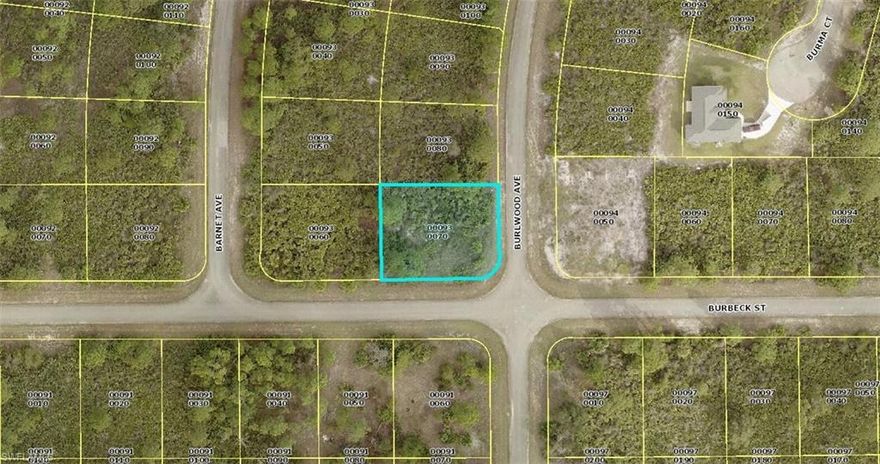 Nice quarter acre Fort Myers lot with plenty of privacy and lower taxes. This lot give you easy access to local shopping, dining, and I-75. Build your Dream Home or Investment Property.