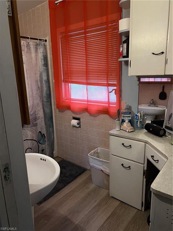NORTH FORT MYERS - Residential
