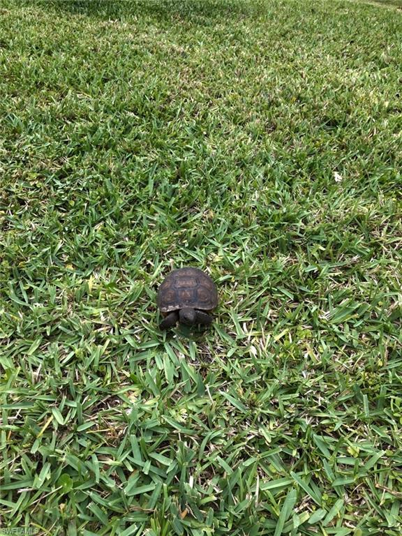 PUNTA GORDA - Residential