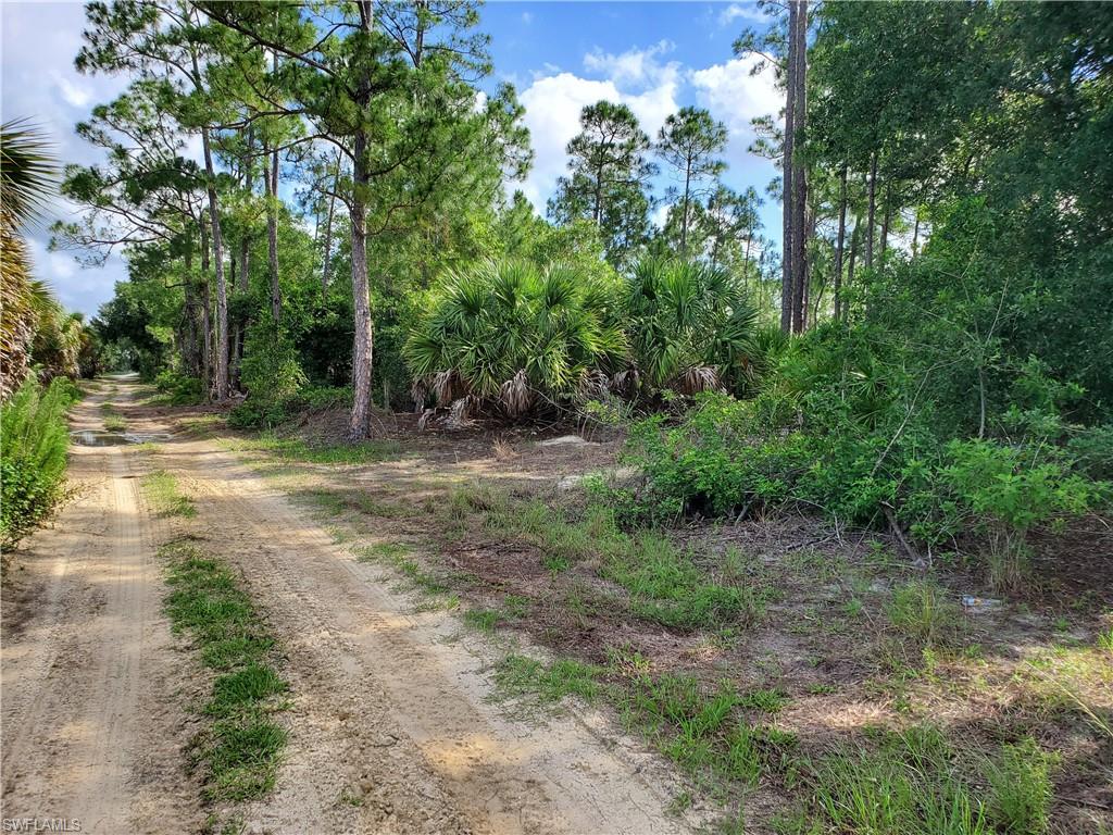 PUNTA GORDA - Residential