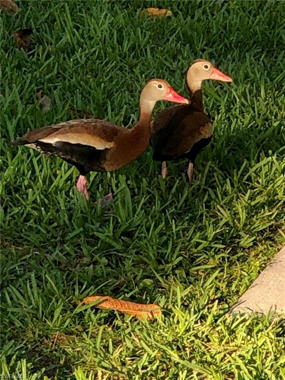 PUNTA GORDA - Residential