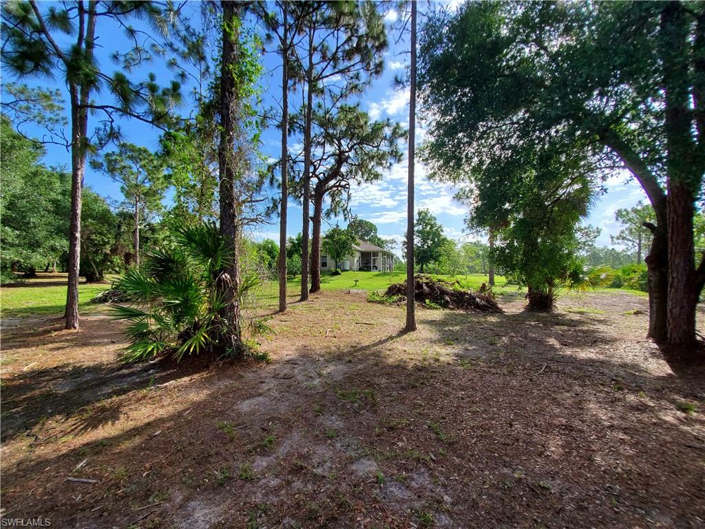 PUNTA GORDA - Residential