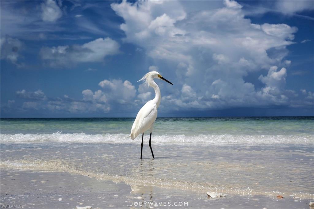 PAVILION CLUB - Residential