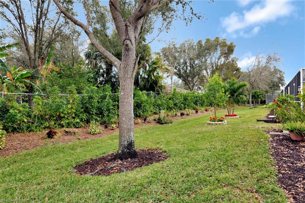 IBIS COVE - Residential