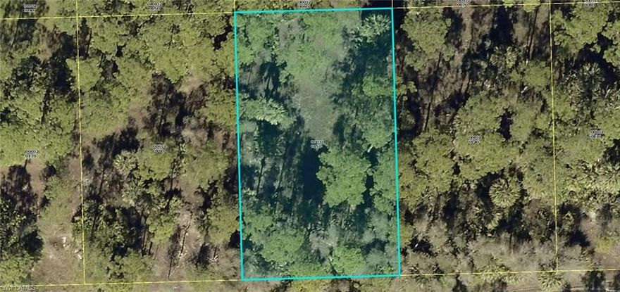 Wooded Building Lot in Northwest Lehigh Acres. Located near Buckingham. New homes are being built in the area. Great investment here in Sunny Southwest Florida!