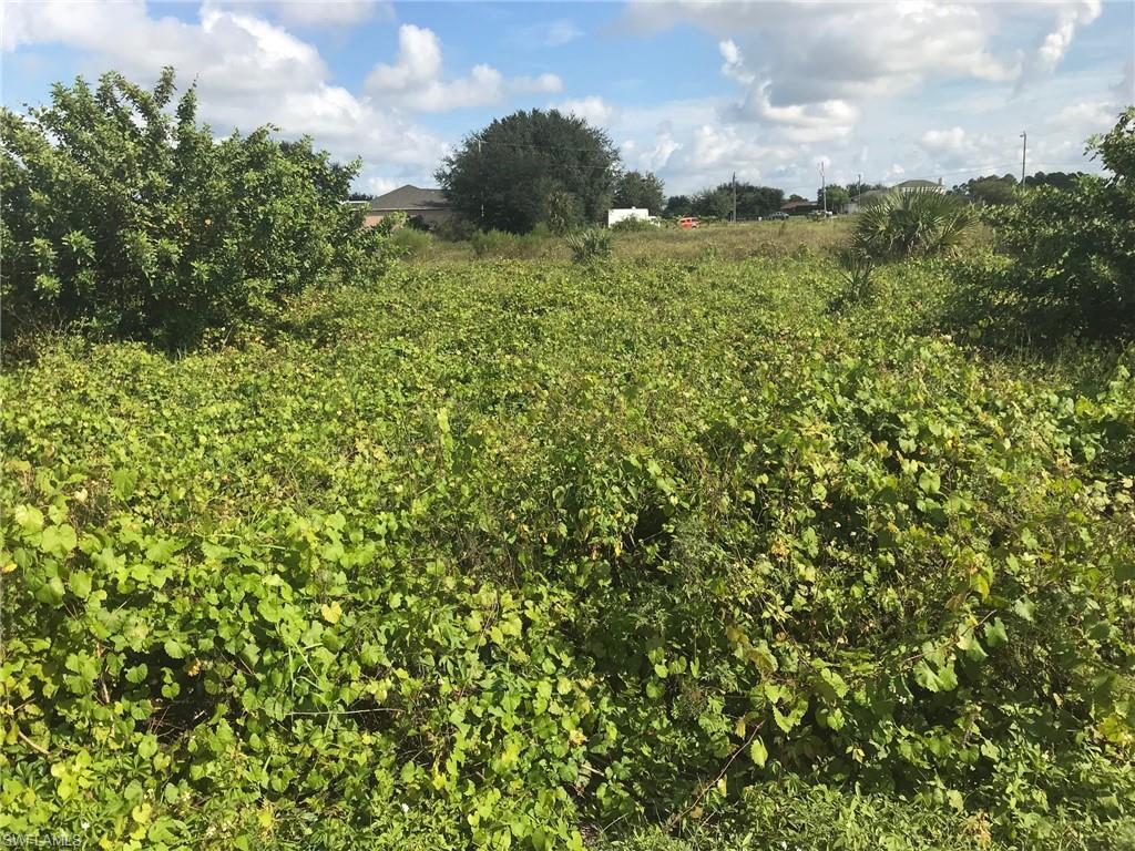 GOLDEN GATE ESTATES - Land