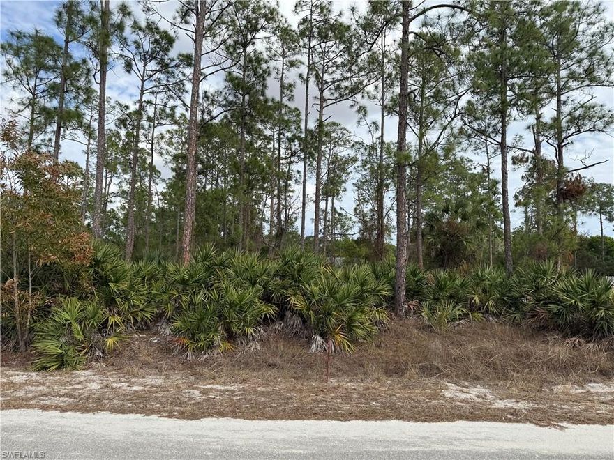 Build your dream home on this oversized 0.50-acre residential lot located in Lehigh Acres! This spacious half-acre parcel offers plenty of room for a custom home, pool, detached garage, workshop, or extra storage with space to spare. Enjoy added privacy and flexibility compared to standard quarter-acre lots.

Conveniently located with easy access to SR-82, I-75, shopping, dining, schools, and just a short drive to Fort Myers and Southwest Florida beaches. Whether you're looking to build now or invest for the future, this property offers excellent potential in a growing area of Lehigh Acres.

Don’t miss this opportunity to secure a large homesite in one of Southwest Florida’s fastest-growing communities!