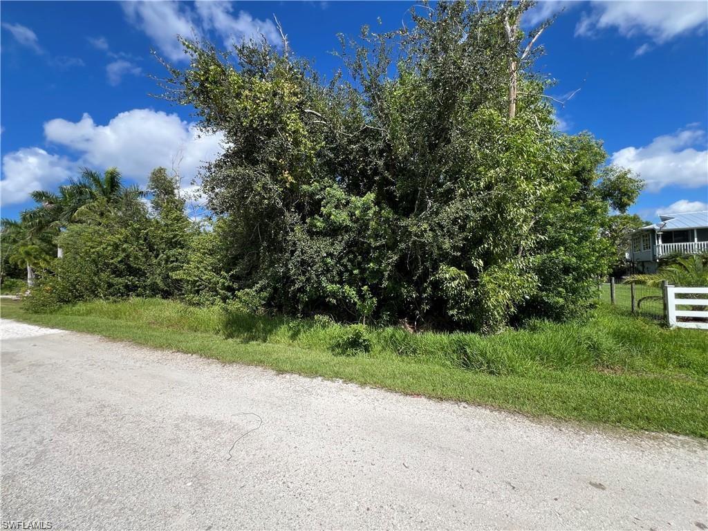 KREAMERS AVOCADO SUBD - Land