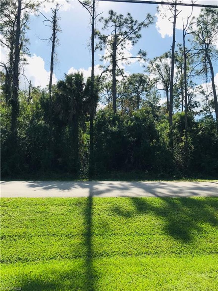 GREAT LOCATION west of SantaBarbara,1.3 mi. south of Pine Ridge.
GREAT STREET dead end with beautiful homes.
UPLAND 2.27 acres southern exposure lot.
Close and convenient to all Naples has to offer with no HOA FEES !