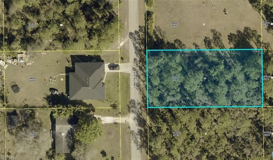 This highly desirable lot presents a superb opportunity for builders and investors in the rapidly growing Lehigh Acres market. This lot is in a quiet, low traffic, rural area. The parcel is situated on Canton Ave- a maintained street. This spacious half-acre parcel offers the ideal blend of quiet country living and convenient access to everyday essentials. Located in a tranquil, lightly developed area of Lehigh Acres, you’ll enjoy privacy, space, and a slower pace — all without being too far from town. Located near Joel Blvd and just a short drive to: All amenities such as Publix Super Market at Homestead Shopping Plaza Local, dining favorites, Walmart Supercenter and ALDI.