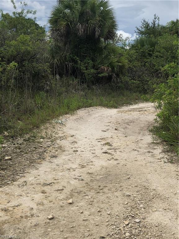 GOLDEN GATE ESTATES - Land