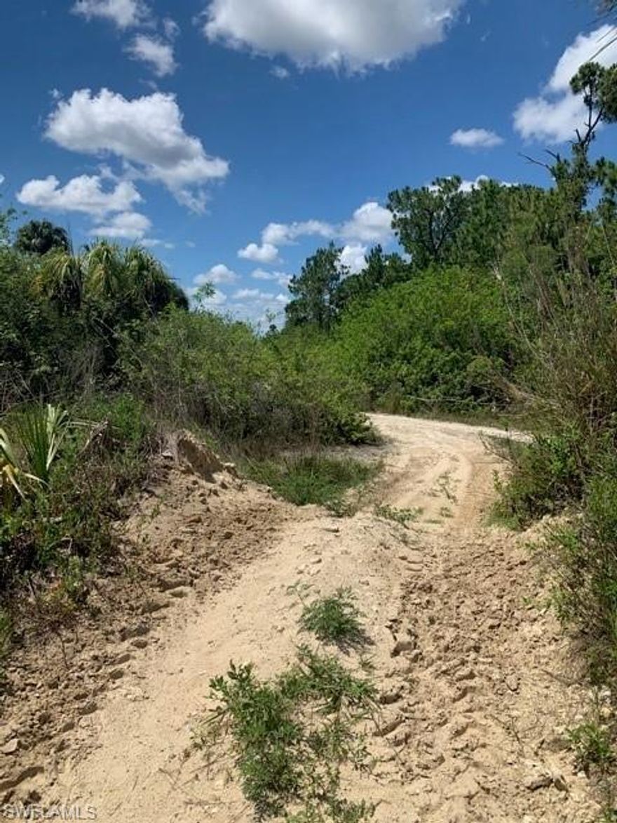 L2749- Beautiful 5+ acre lot in excellent estates location! 660 feet of wide canal frontage!  Mostly high and dry to build your dream home.  At the end of 47th NE with beautiful homes already on the street.  Easy drive down Golden Gate Estates Blvd., left on Everglades Blvd. N. and 47th is on your right off Everglades.  Environmental report is in supplements.