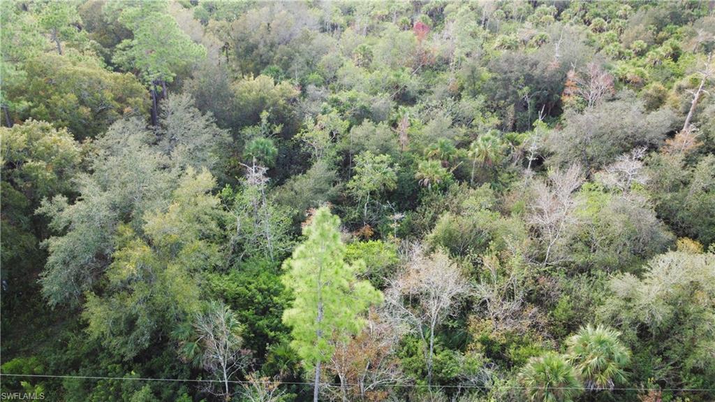 GOLDEN GATE ESTATES - Land