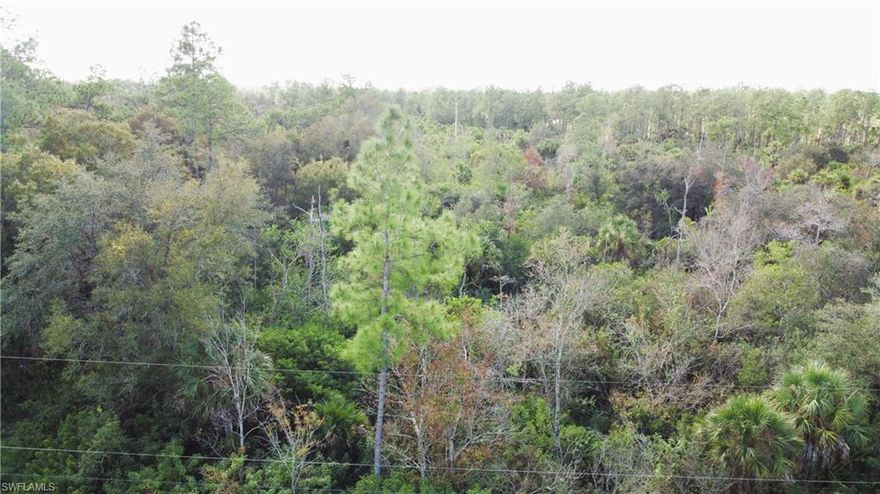 ?? 2.73-Acre Wooded Homesite in Golden Gate Estates – No HOA!

Build the lifestyle you’ve always wanted on this spacious and private 2.73-acre lot nestled in the desirable Golden Gate Estates area of Naples, Florida. With 180 feet of frontage and 660 feet of depth, this property offers the perfect blank canvas for your custom dream home.

Enjoy the freedom to design without the restrictions of a homeowners association. Whether you're envisioning a main residence with a guest house, a horse barn, RV garage, or a workshop, there’s ample room here to bring your vision to life.

??? Property Highlights:

2.73-acre wooded lot with mature trees

180’ of street frontage x 660’ depth

Zoned for single-family residential use

Plenty of space for guest house, barn, or outbuildings

No HOA – enjoy total flexibility and privacy

Peaceful country setting with convenient access to shopping, schools, and dining