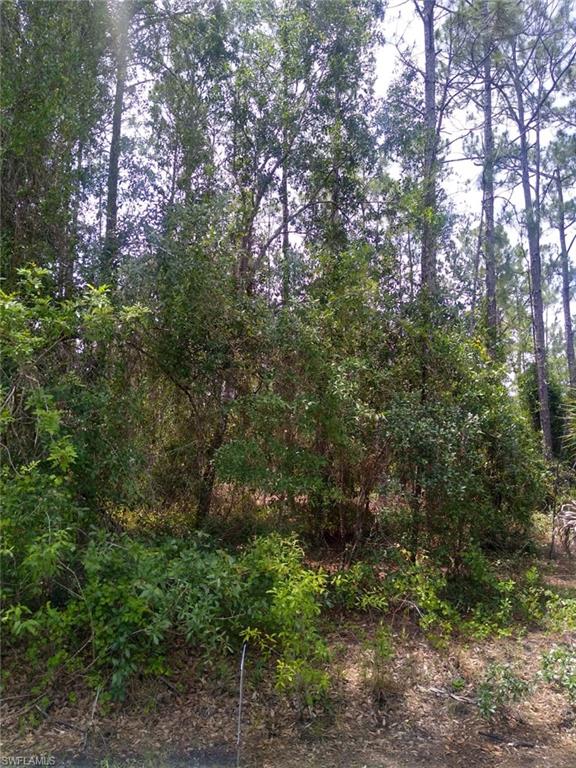 TROPICAL GULF ACRES - Land