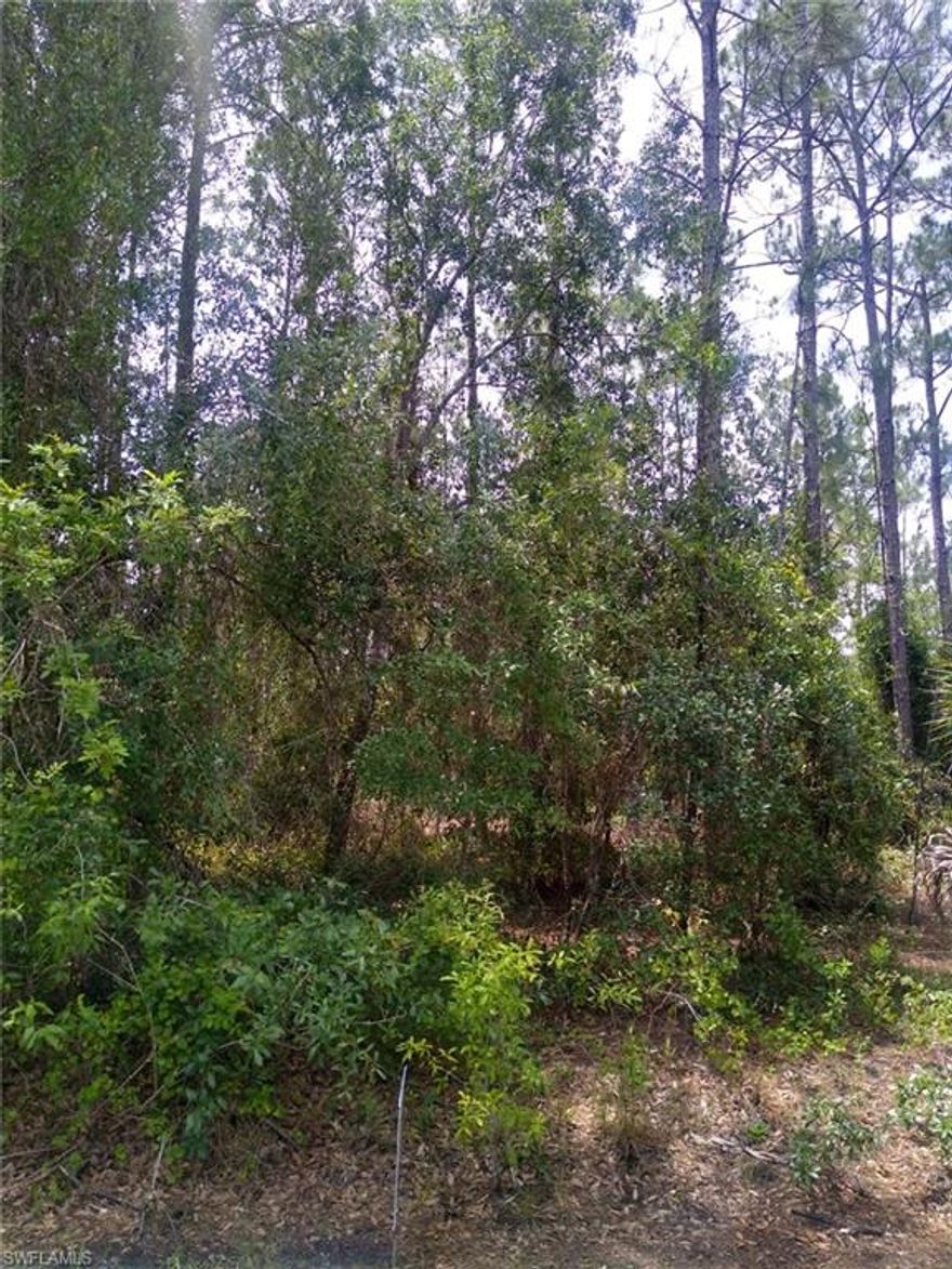 Located in quiet Tropical Gulf Acres, newer homes nearby.