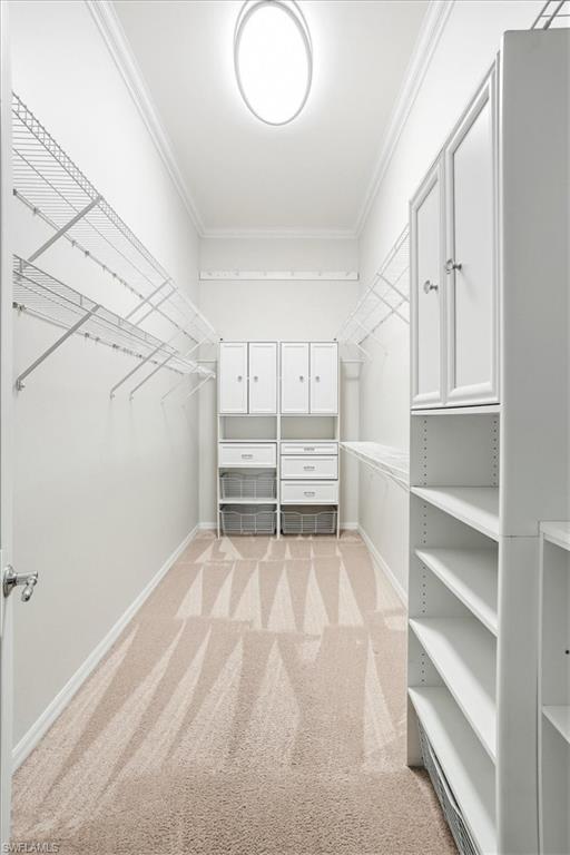 THE GROVES AT ORANGE BLOSSOM RANCH - Residential