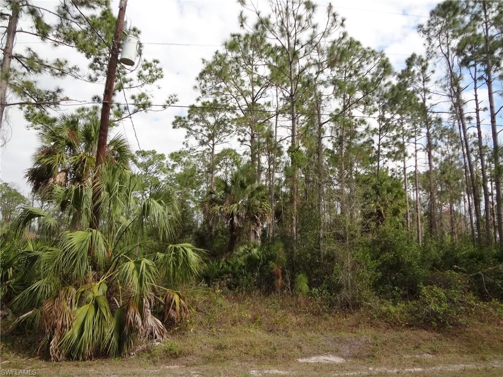 GOLDEN GATE ESTATES - Land