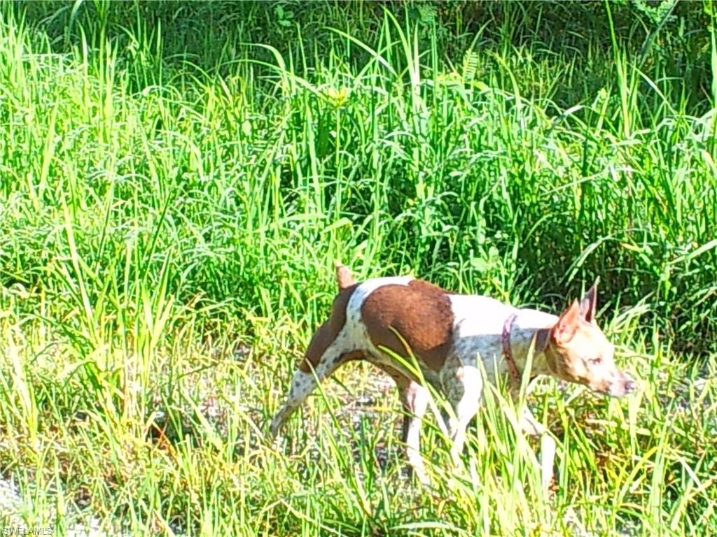 GOLDEN GATE ESTATES - Land