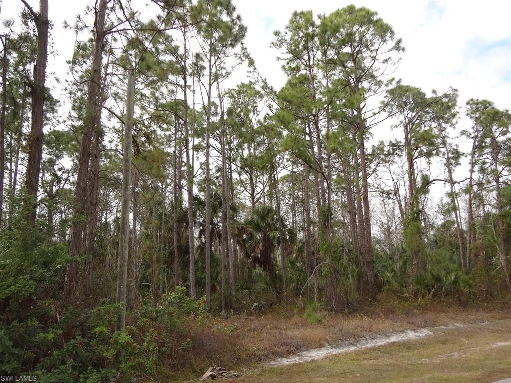 GOLDEN GATE ESTATES - Land