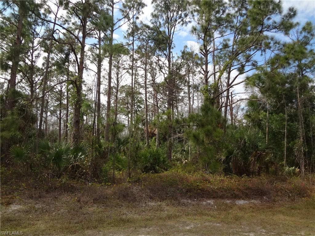 GOLDEN GATE ESTATES - Land