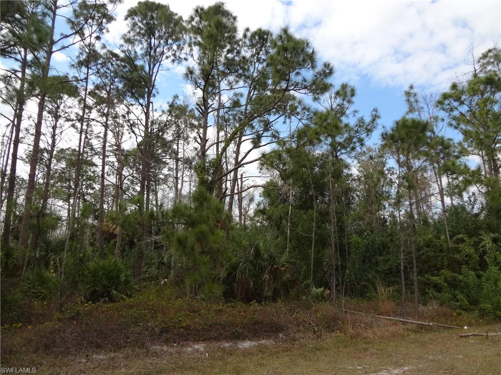 GOLDEN GATE ESTATES - Land