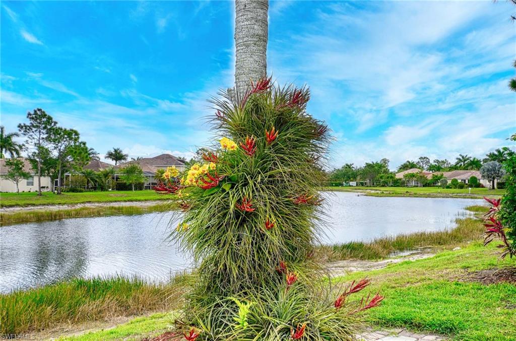 REFLECTION LAKES OF NAPLES - Residential