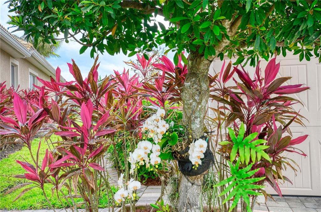 REFLECTION LAKES OF NAPLES - Residential