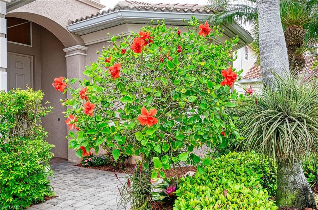 REFLECTION LAKES OF NAPLES - Residential