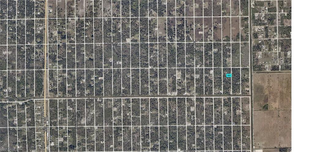 ISLAND OF HAPPINESS - Land