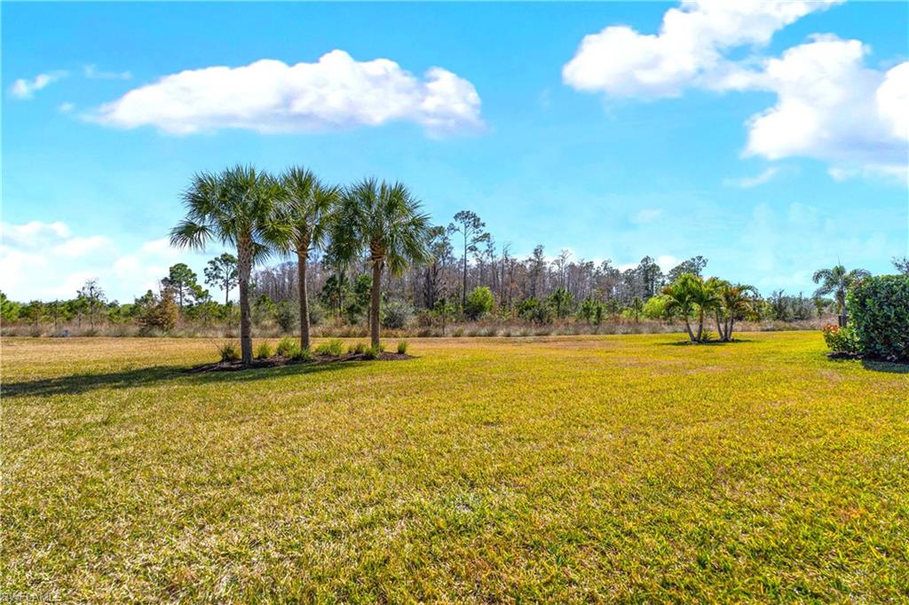 THE PLACE AT CORKSCREW - Residential