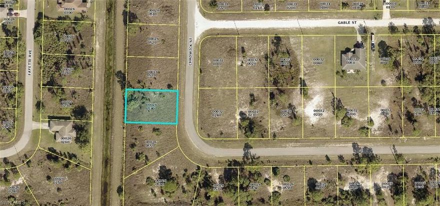 Great buildable western exposure lot located on a canal for extra privacy! This lot is also in a great location, just a few blocks north of State Road 82 which has great access to dining, shopping & Interstate 75. Buy now and build or hold for future investment as taxes are LOW!