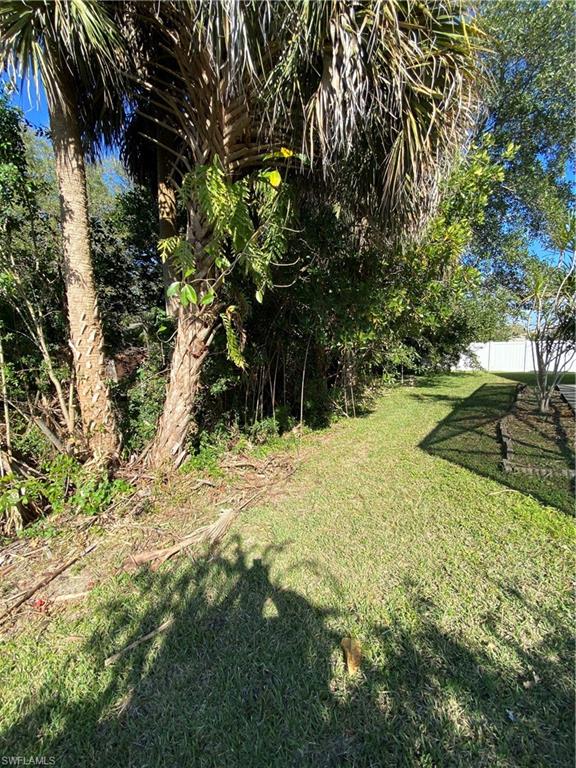 FORT MYERS SHORES - Residential