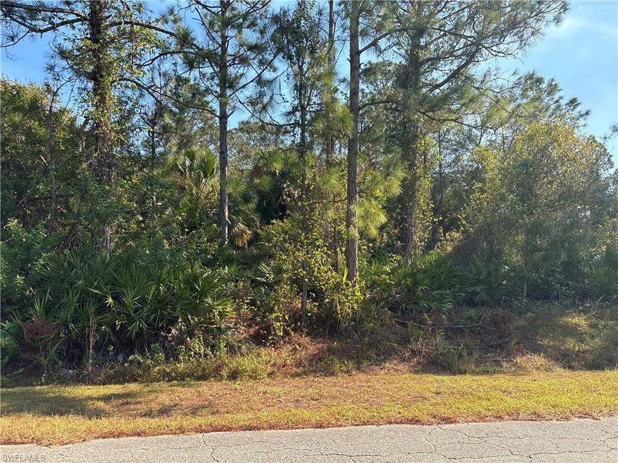 Discover the perfect blend of convenience and tranquility with this spacious half-acre lot in the heart of Lehigh Acres! Nestled on a quiet street, this property offers no HOA restrictions, giving you the freedom to create your dream home or investment property. Surrounded by mature trees and open space, it provides a sense of calm and privacy, while being just minutes away restaurants, shops, and amenities.