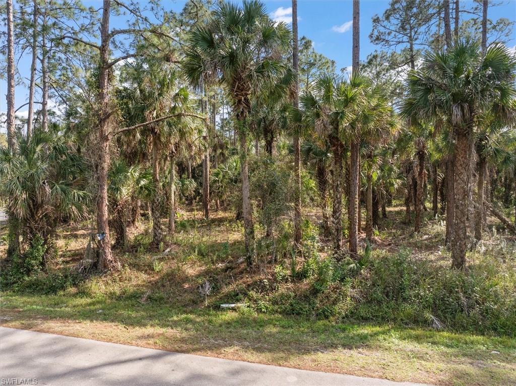 GOLDEN GATE ESTATES - Land