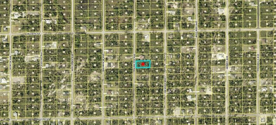 Excellent opportunity with a half acre lot in an area with new construction homes being built. Close to golf courses, shopping and restaurants as well as just a short drive to Fort Myers and Punta Gorda airports, two spring training facilities and beaches!