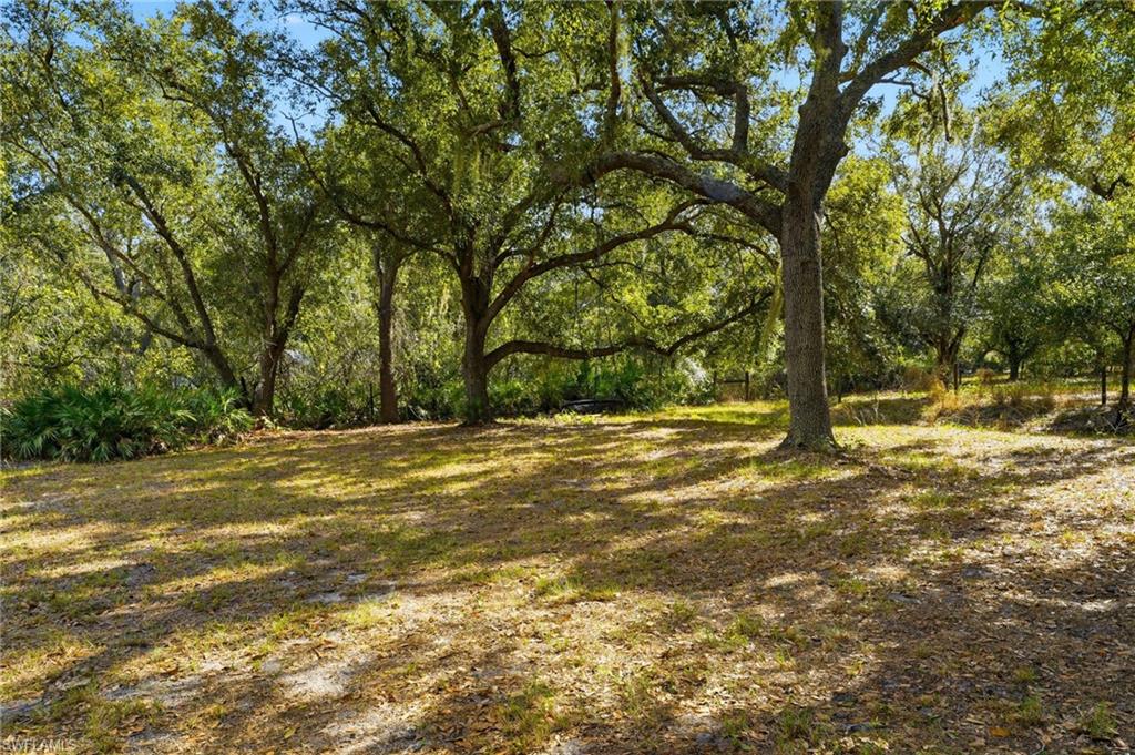 LAKE SUZY - Residential
