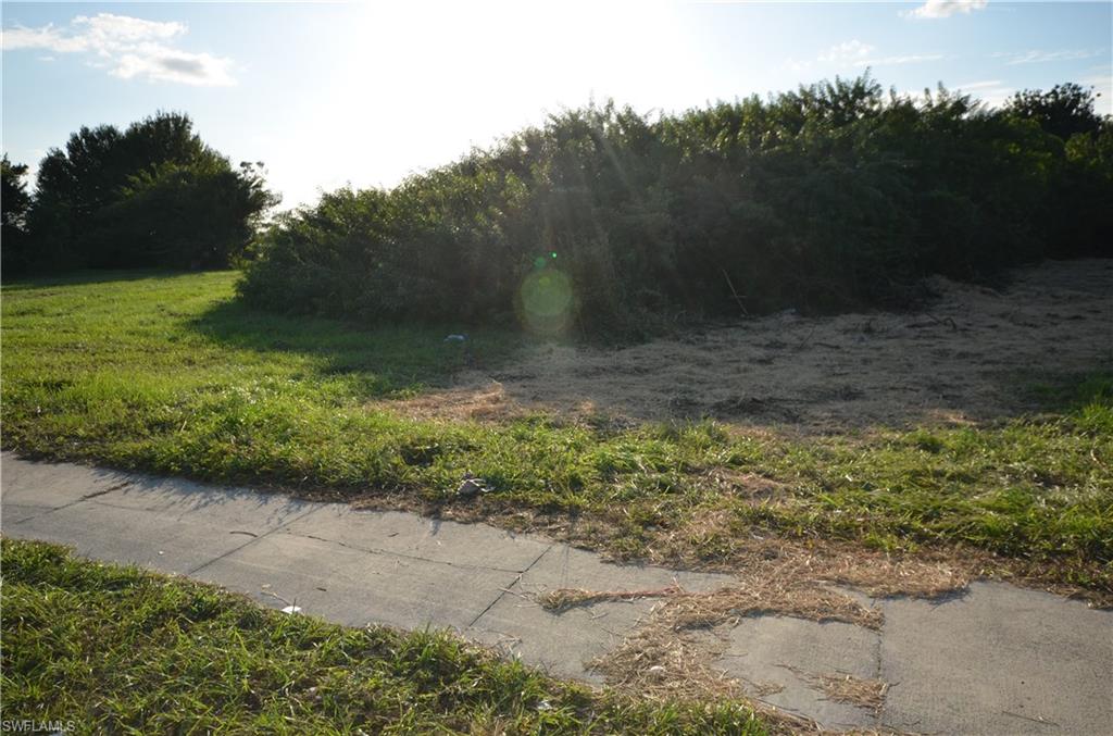 LEE COUNTY INDUSTRIAL PARK - Land