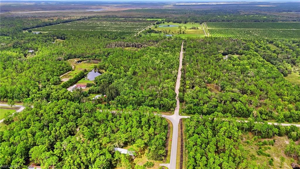 Sanctuary RD