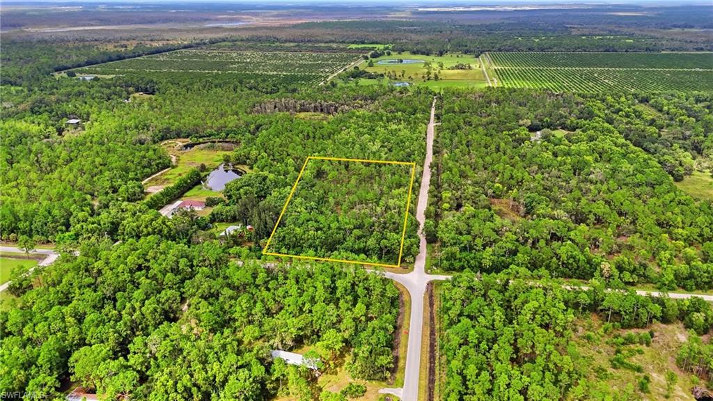 Sanctuary RD