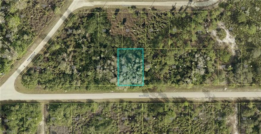 A spacious 0.25-acre lot situated on a quiet, paved street in a low traffic area surrounded by privacy and nature. The area features several new construction homes, offering a growing and attractive neighborhood setting—ideal for building your future residence or investment property.