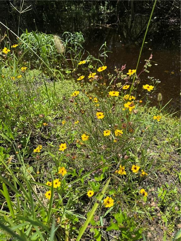 GOLDEN GATE ESTATES - Land