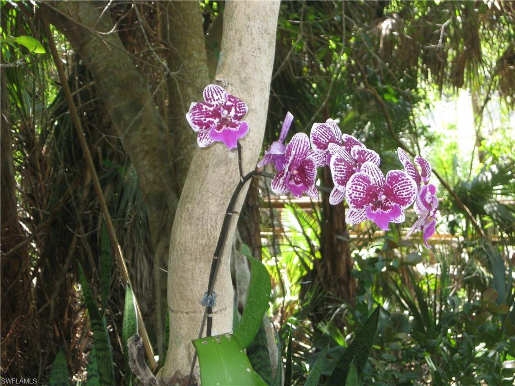 THE PARK AT LAKEWOOD - Residential