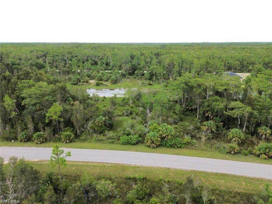 Beautiful lot, perfect for building your dream home with great proximity and ease of access to Fort Myers