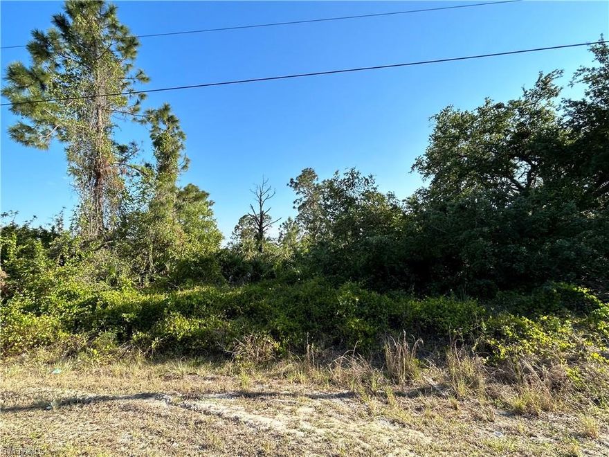 Are you looking for an oversized lot to build your dream home?  You need to take a look at this lot that you could build your home or build a spec home on it.  This lot is located West of Sunshine and not far from Lee Blvd to give you quick access to shopping, dining and getting to Ft Myers.