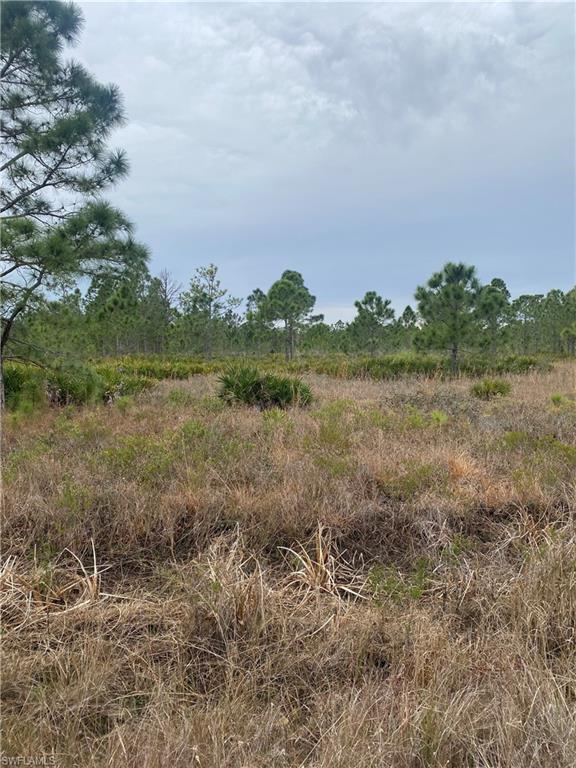 GOLDEN RANCHES - Land