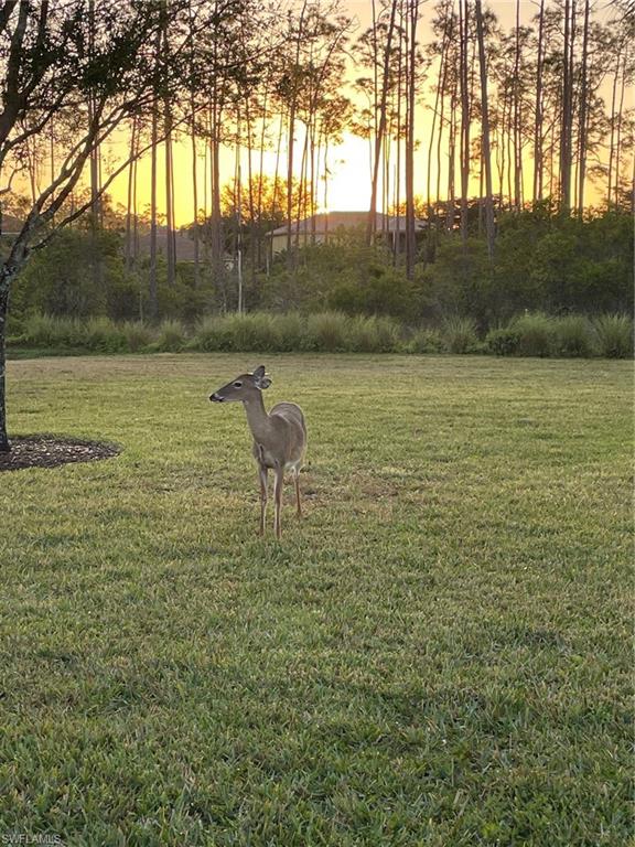 PRESERVE AT CORKSCREW - Residential