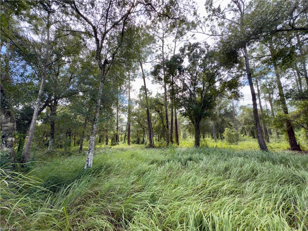 LABELLE ACRES - Land