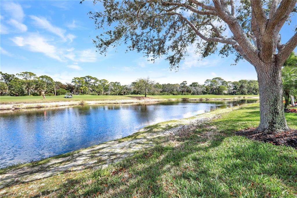 MARBELLA AT SPANISH WELLS - Residential